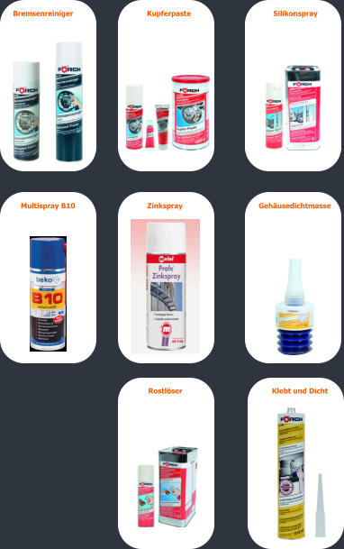Bremsenreiniger  Kupferpaste Rostlser Silikonspray Multispray B10  Zinkspray Klebt und Dicht Gehusedichtmasse