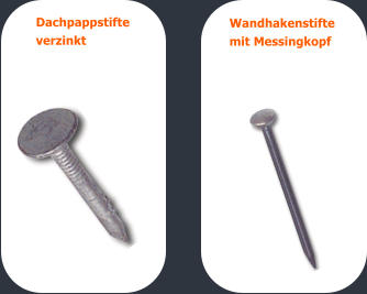 Dachpappstifte  verzinkt Wandhakenstifte  mit Messingkopf