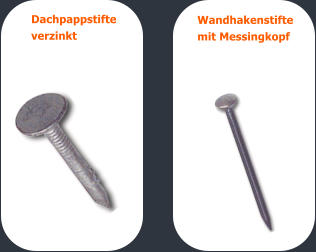 Dachpappstifte  verzinkt Wandhakenstifte  mit Messingkopf
